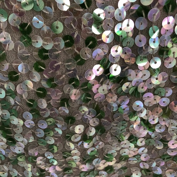 NWT J.CREW Sequined Cami - Picture 2 of 7